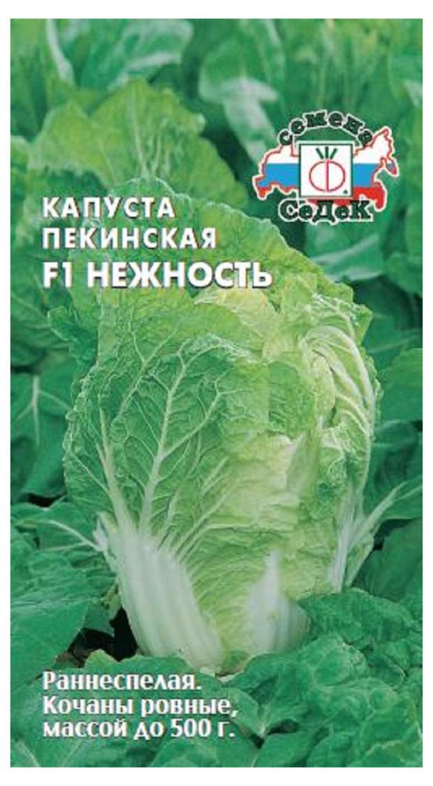 

Семена СеДеК КапустаНежностьF1