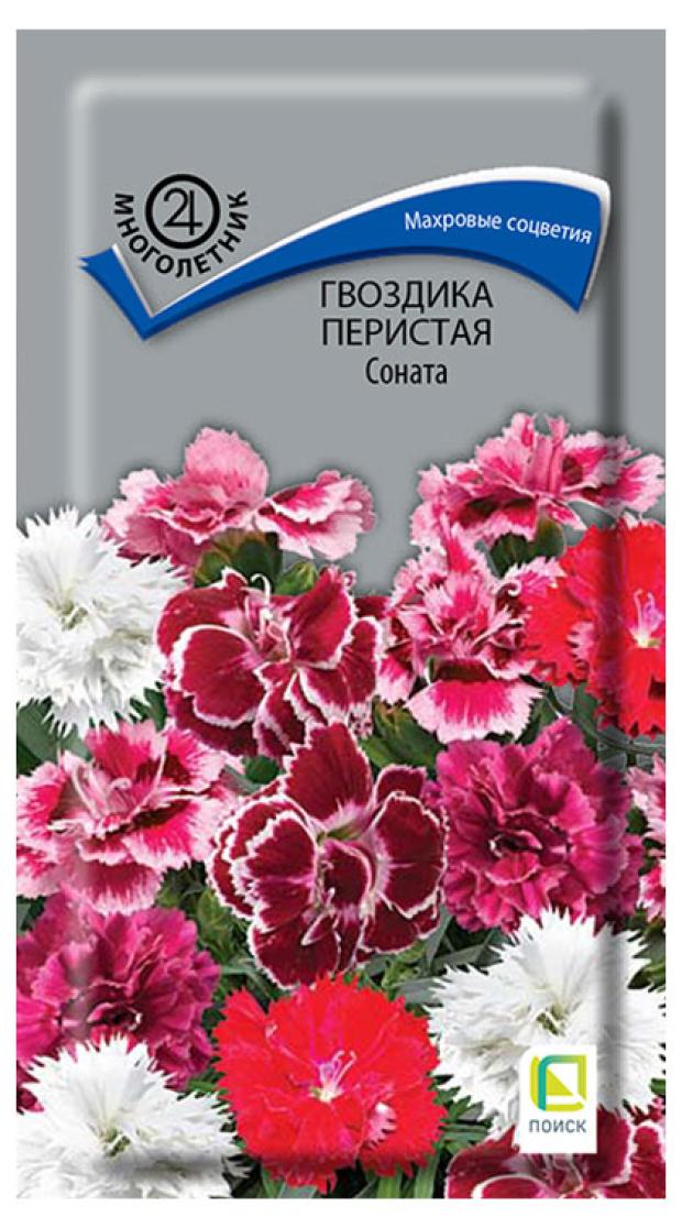 

Семена Поиск Гвоздика перистая Соната, 0,05 г