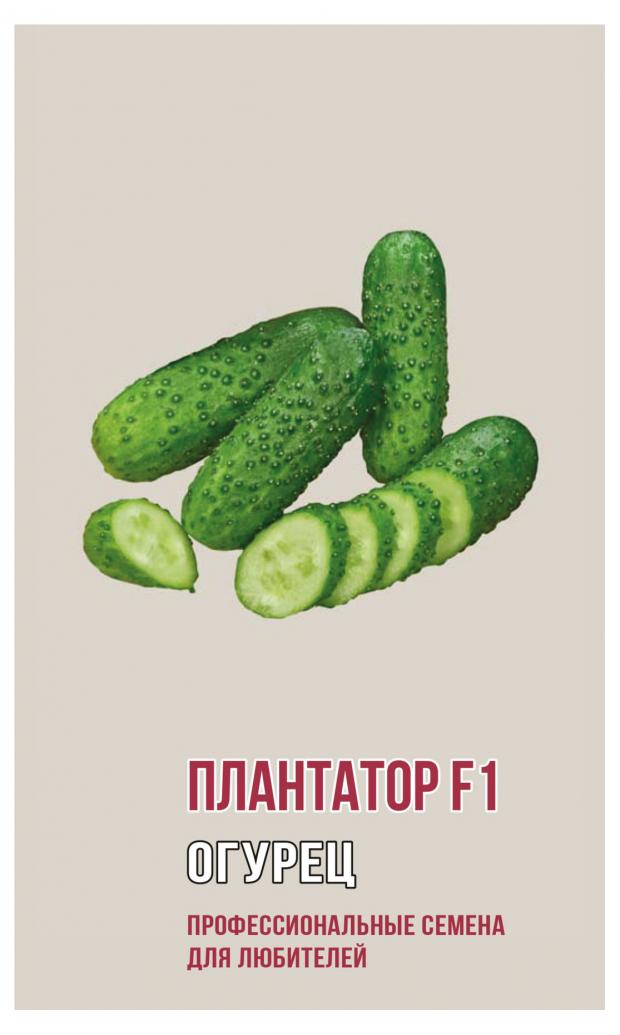 

Семена Огурец «Агрони» Плантатор F1, 5 шт