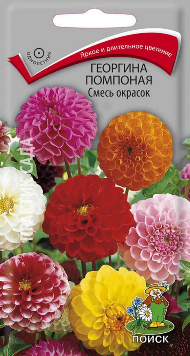 

Семена Георгина «Поиск» Помпоная смесь красок, 0.3 г