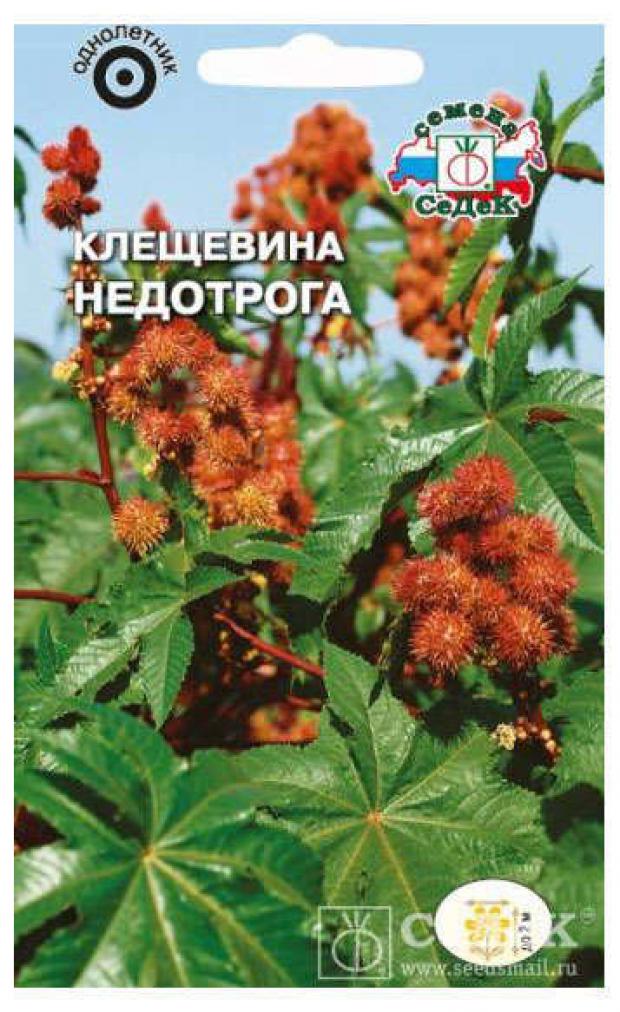 

Семена Клещевина СеДеК Недотрога, 2 г