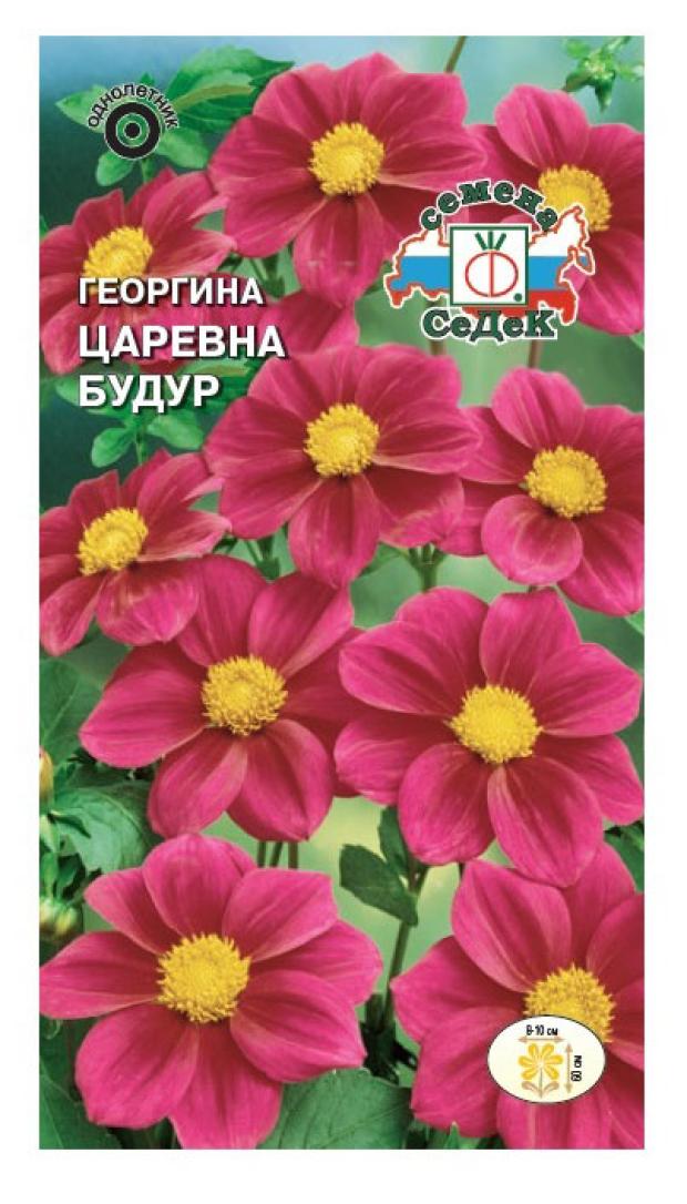 Семена СеДеК ГеоргинаЦаревнаБудур