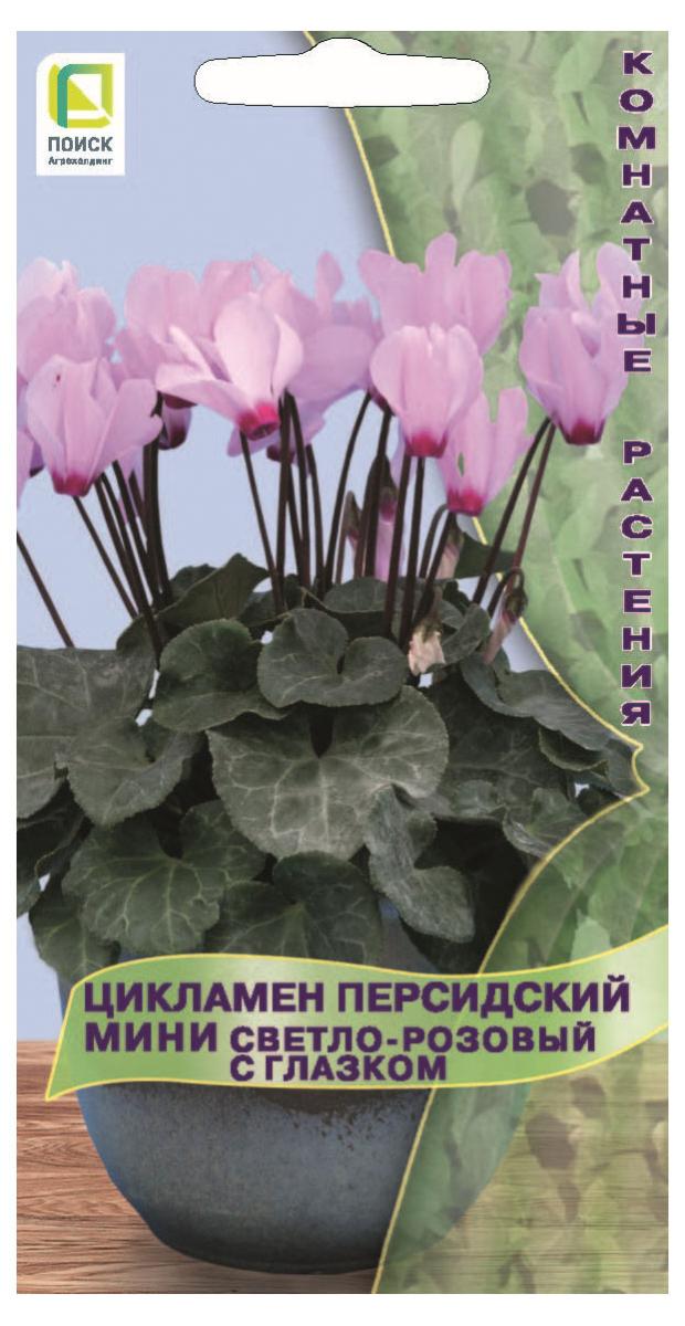 

Семена Цикламен Поиск Персидский мини светло-розовый с глазком, 2 шт