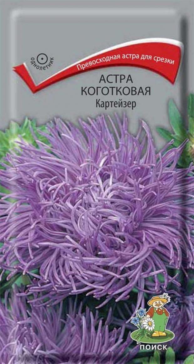 

Семена Астра Поиск Картейзер, 3 г