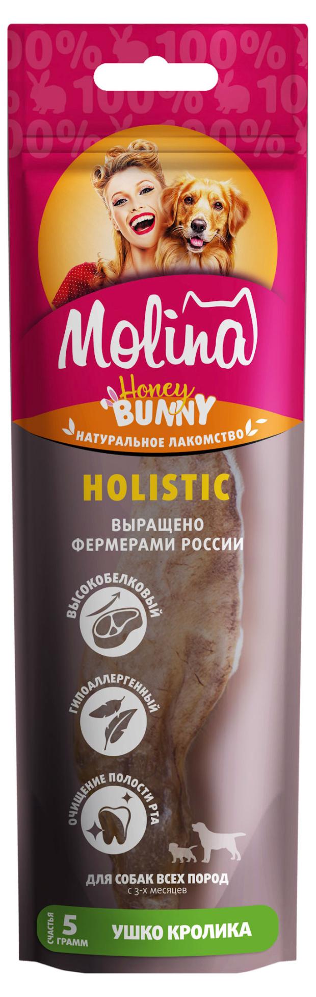 

Лакомство для собак Molina Натуральное сушёное Holistic для всех пород Ухо кролика, 5 г