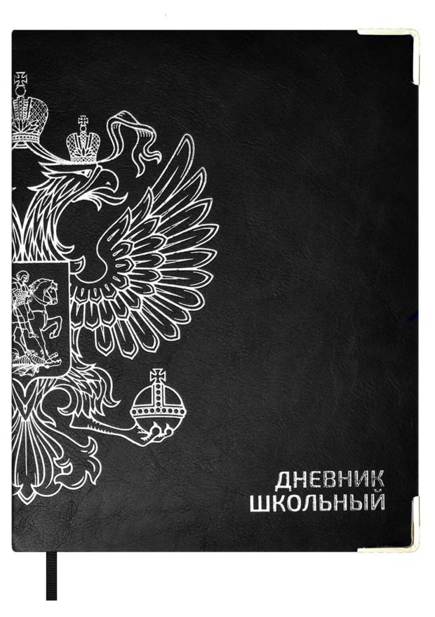 Дневник школьный для 1-11 классов Феникс+ А5+ кожзам, 48 л