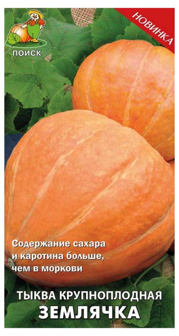 Семена Тыква Поиск Землячка крупноплодная, 10 шт семена поиск тыква крупноплодная турецкая чалма 5 шт