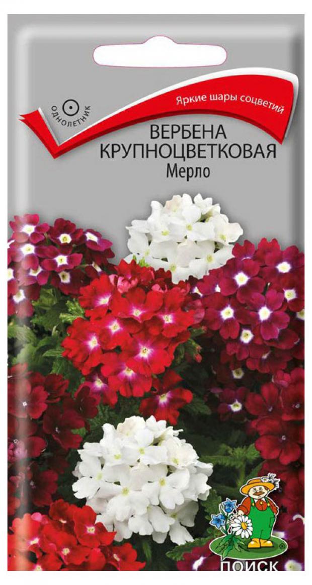 Семена Вербена Поиск Мерло крупная, 10 шт