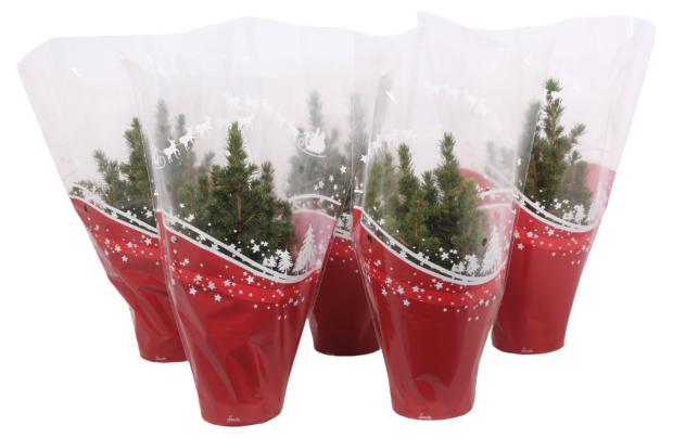 

Ель коника в красном новогоднем пакете, 13х40 см