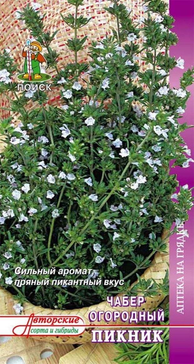 

Семена Чабер «Поиск» Пикник, 0.5 г