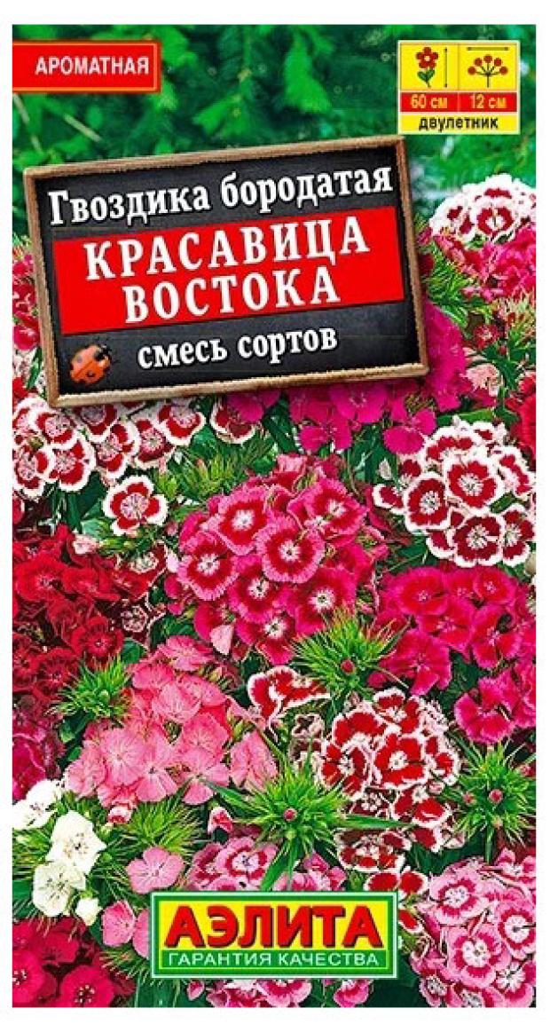 Семена Аэлита Гвоздика Красавица востока, 0,05 семена цветов аэлита годеция красавица лета