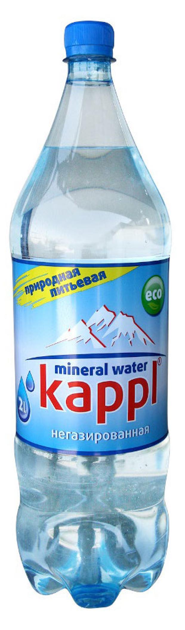 Вода минеральная Kappl негазированная, 1 л