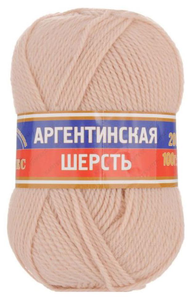 Пряжа Камтекс Аргентинская шерсть микс, 100 г/200 м пряжа alize mohair classic new 200 м 100 г 40 голубая 1 шт