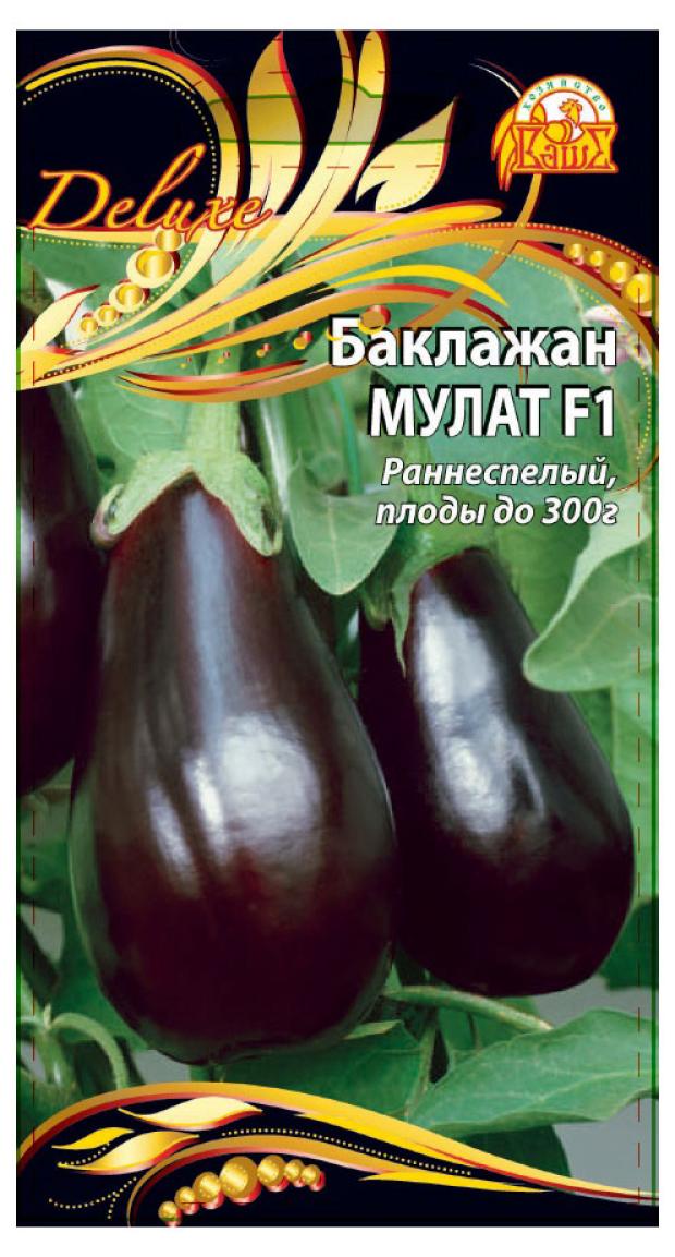 Баклажан Северный Индиго Описание Сорта Фото Отзывы