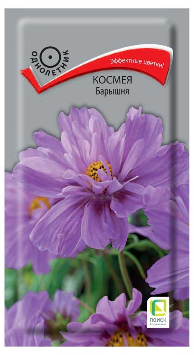 Семена Космея Поиск Барышня, 0,1 г