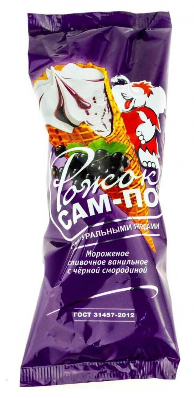 Мороженое пломбир Сам-по ванильное с черной смородиной в сахарном рожке БЗМЖ, 120 г