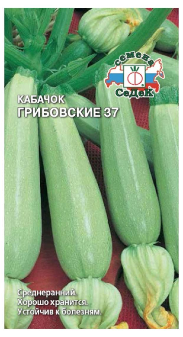 

Семена СеДеК КабачокГрибовские37