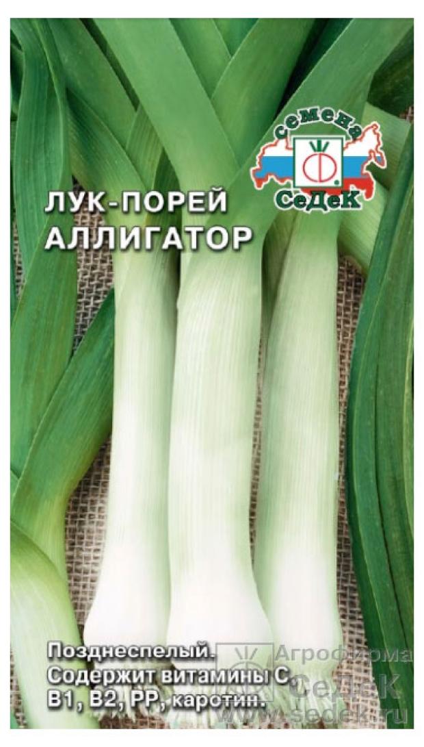 

Семена СеДеК ЛукАллигаторпорей