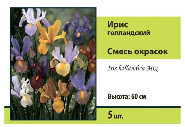 

Луковичные Поиск микс, 5 шт