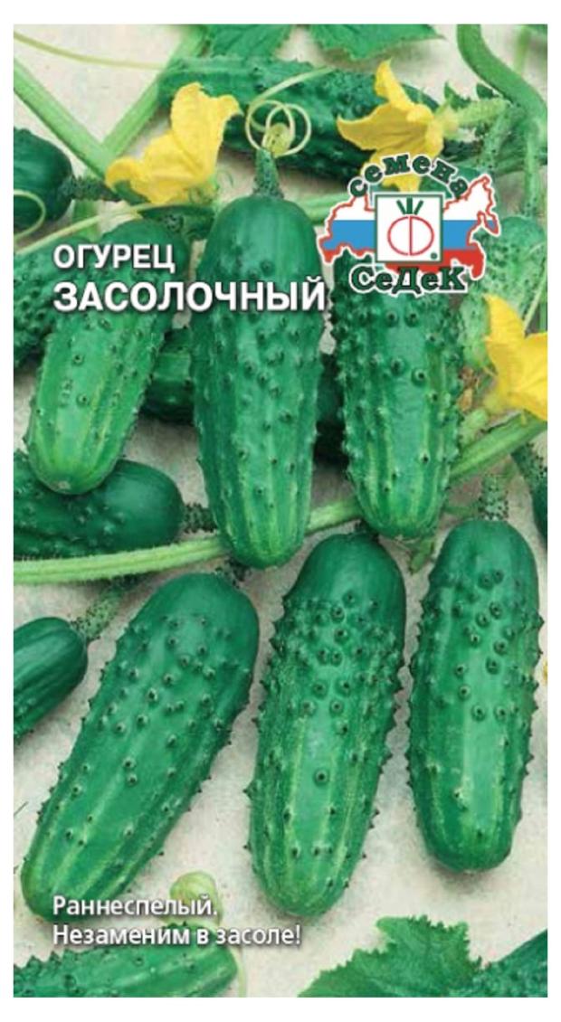 

Семена СеДеК ОгурецЗасолочный, 0,3 г