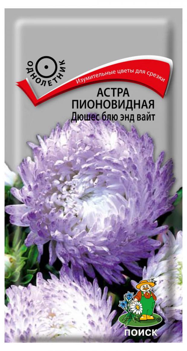 Семена Астра Поиск Дюшес блю энд вайт, 0,3 г аквилегия обыкновенная поиск винки дабл блу энд вайт 1шт