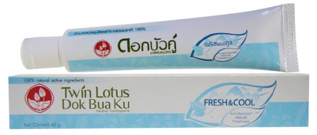 

Зубная паста Twin Lotus Свежесть и прохлада с травами, 40 г