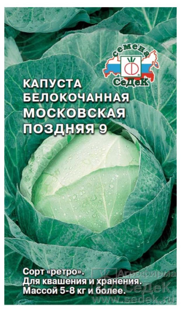 Капуста Семена Поздние Сорта Купить