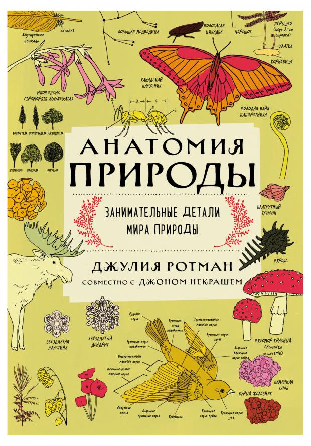 

Анатомия природы. Занимательные детали мира природы, Ротман Д.