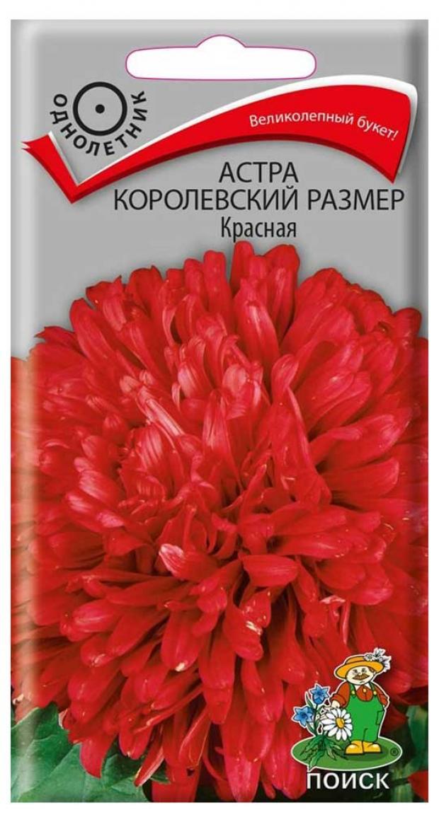 

Семена Астра Поиск Королеский размер красная, 0,1 г