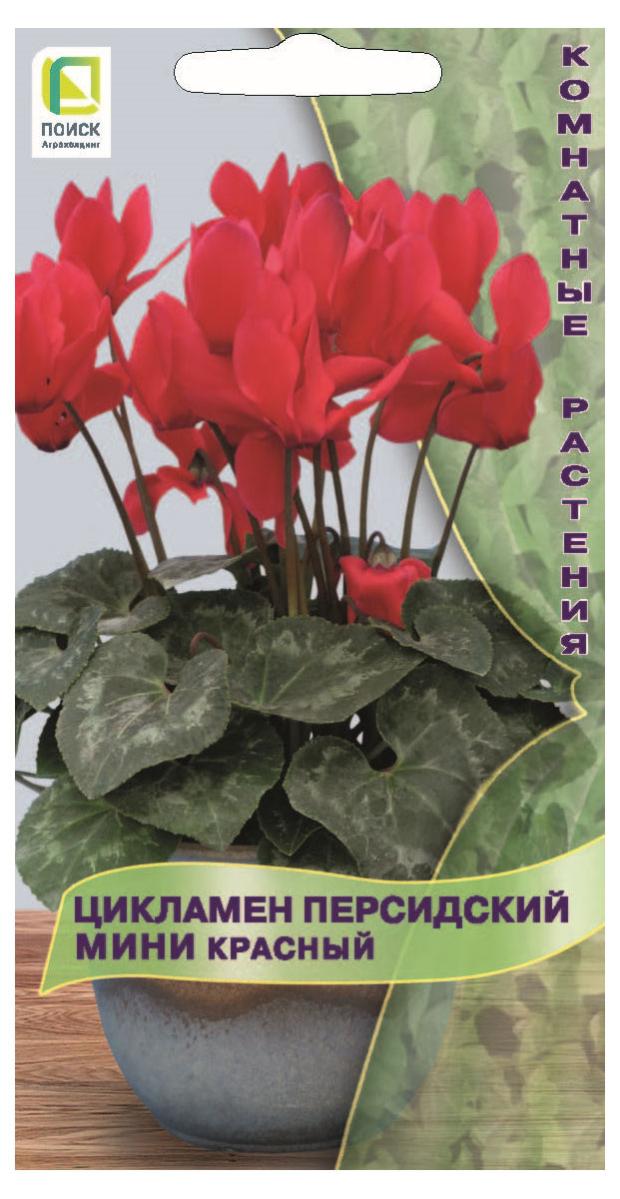 

Семена Цикламен Поиск Персидский мини красный, 2 шт