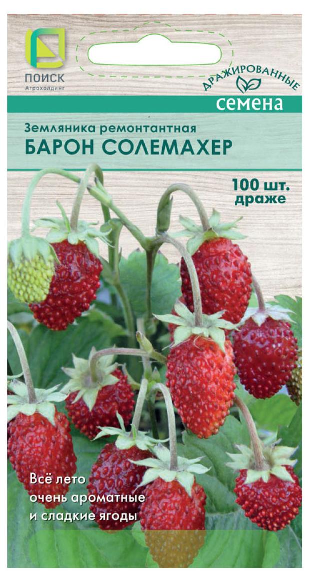 Семена Поиск Земляника ремонтантная Барон Солемахер, 100 шт семена поиск земляника ремонтантная барон солемахер 100 шт
