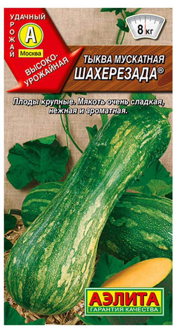 Семена Тыква Аэлита Шахерезада мускатная, 1 г