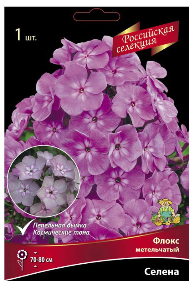 

Луковицы Поиск Флокс метельчатый Селена, 1 шт