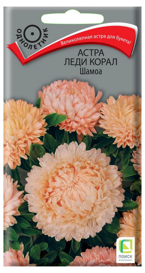 

Семена Астра «Поиск» Леди корал шамоа, 0,1 г