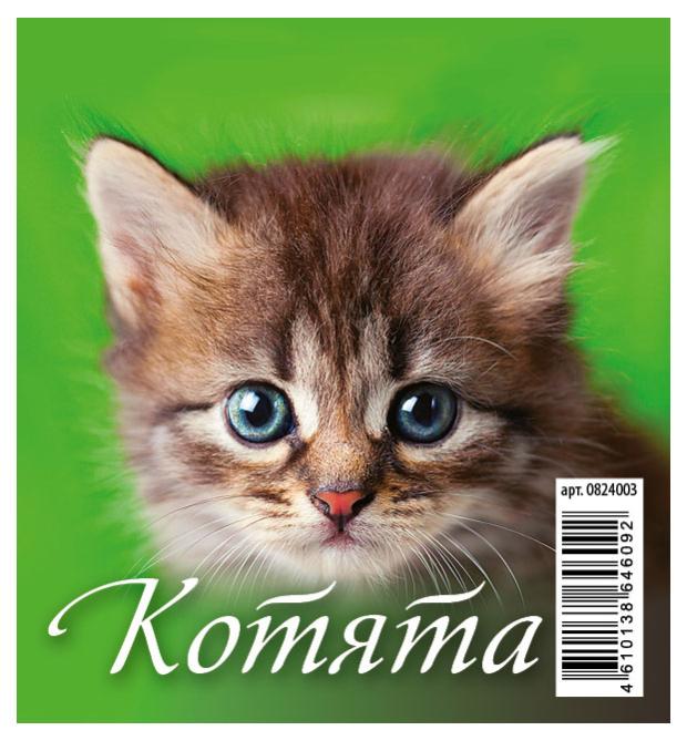

Календарь настольный перекидной Домик Котята на гребне на 2024 г, 100х140 мм