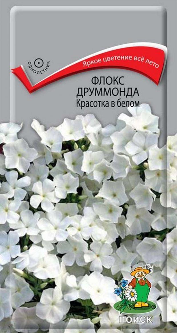 

Семена Флокс Поиск Красотка в белом, 0,1 г