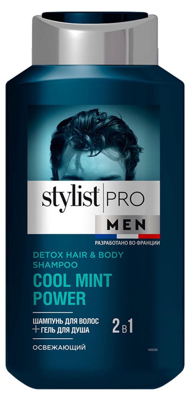 

Шампунь для волос Stylist Pro Men 2 в 1, 400 мл