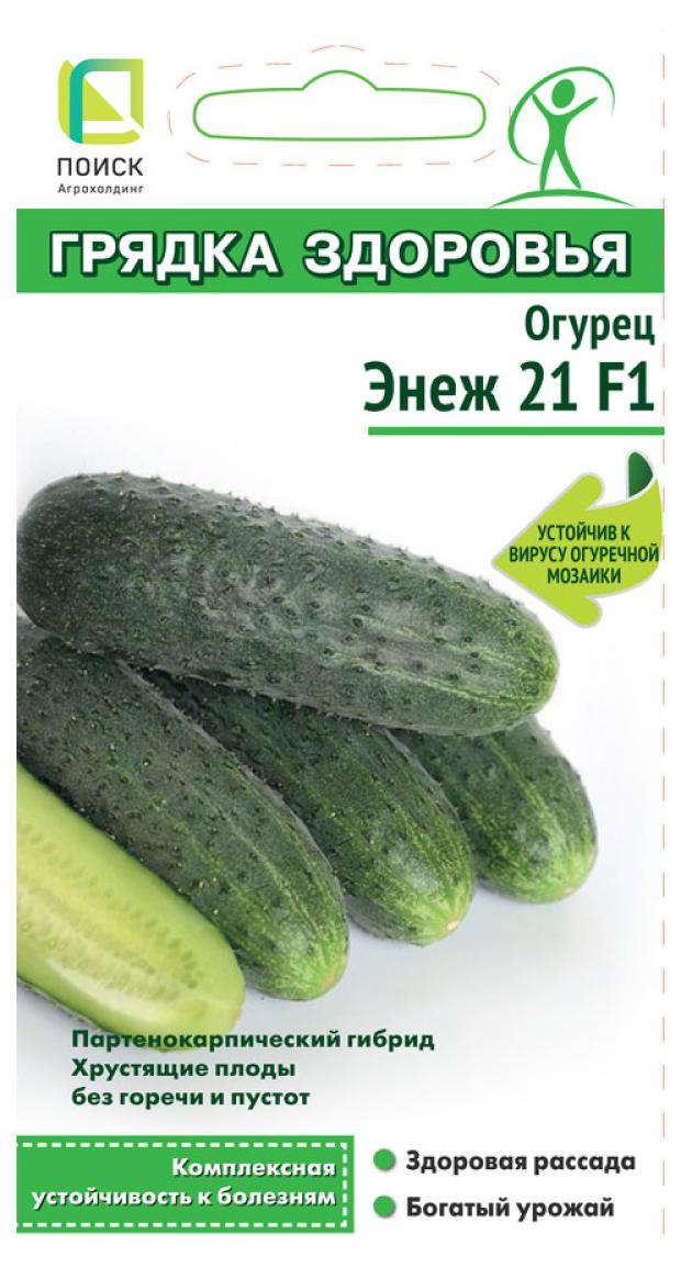 

Семена Поиск Огурец Энеж 21 F1 (А), 12 шт