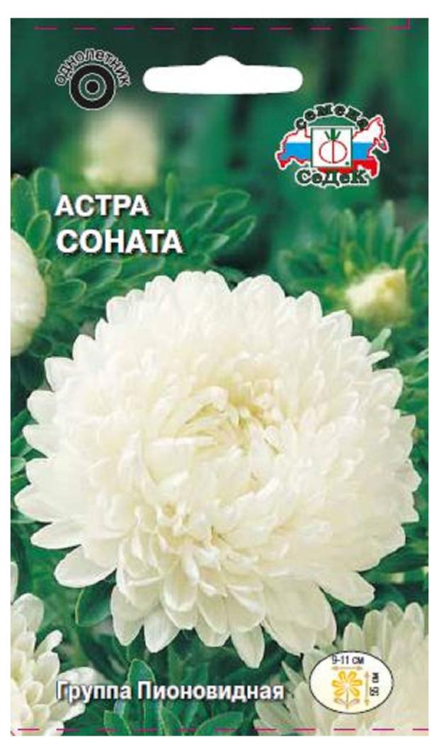 

Семена СеДеК АстраСоната, 1 шт