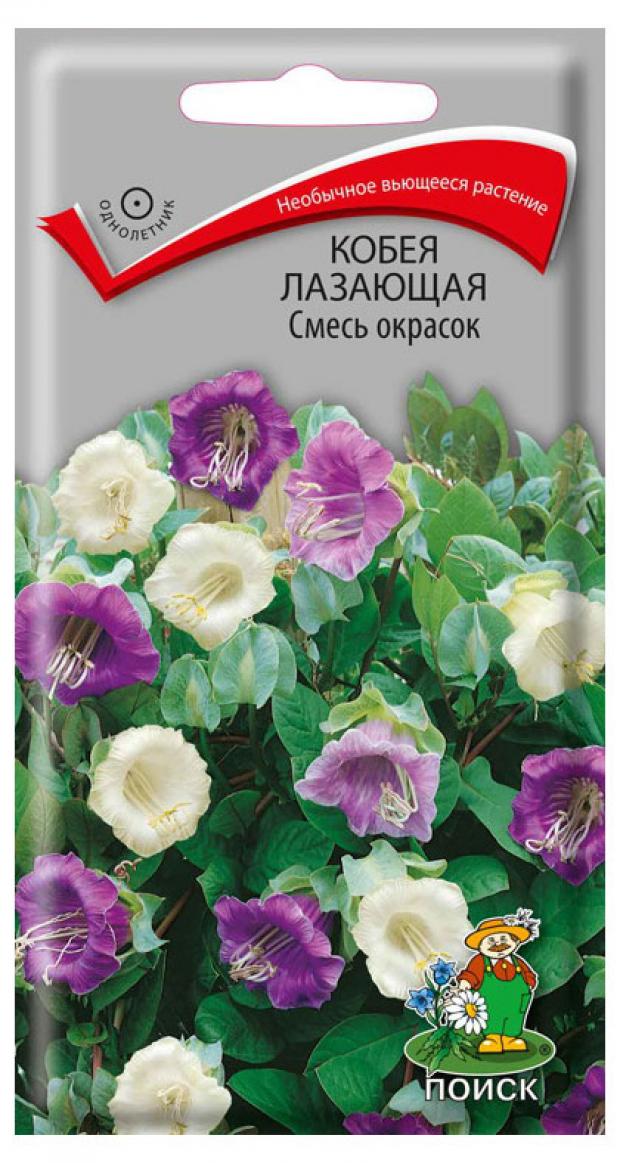 

Семена Кобея лазающая «Поиск» смесь окрасок, 5 шт