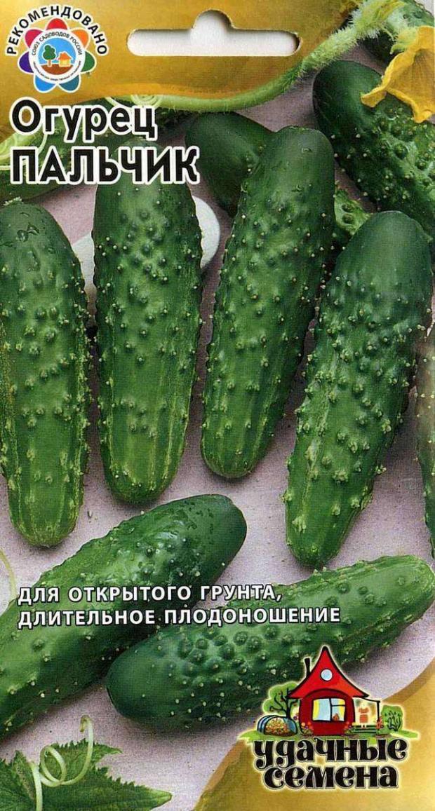 Огурцы Пальчик Фото