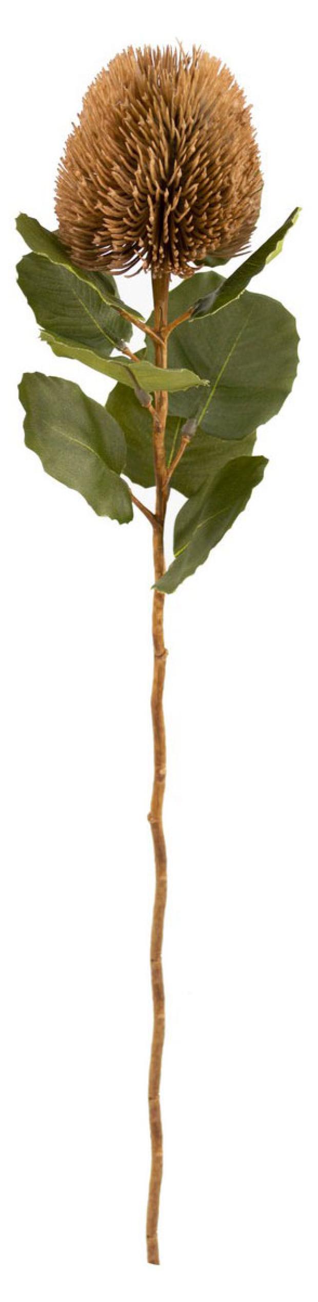Цветок искусственный Decoland Банксия коричневый 59 см 349₽