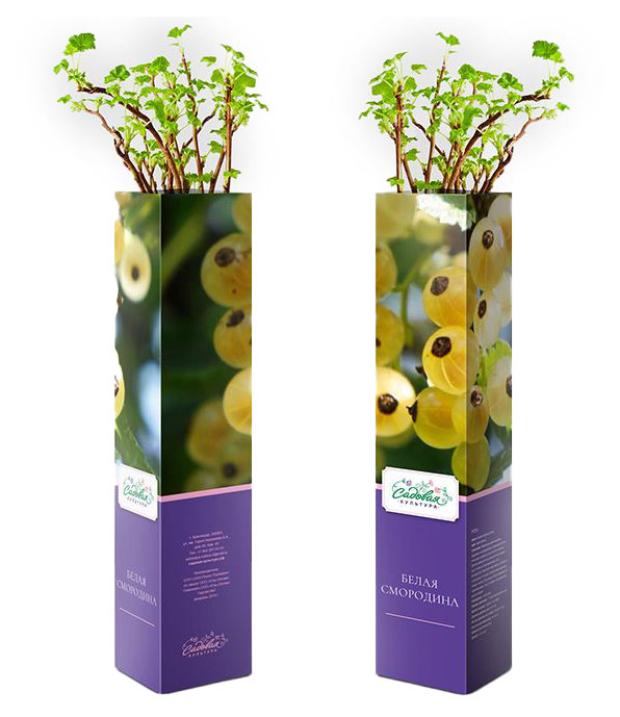 

Саженцы Плодо-ягодный микс, 1 шт