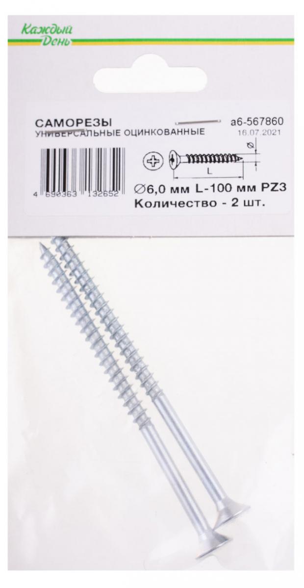 

Саморез универсальный Каждый день 6x100 оцинкованный, 2 шт