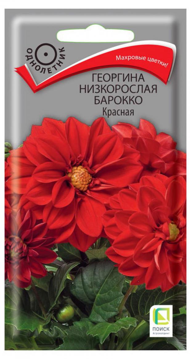 

Семена Георгина Поиск Барокко красная, 0,1 г