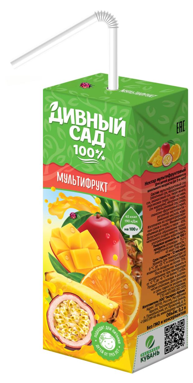 Нектар Дивный сад Мультифруктовый 0,2 л