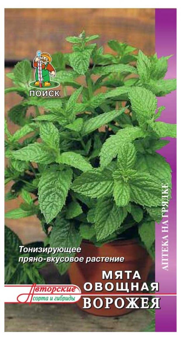 Семена Мята Поиск Овощная ворожея, 0,1 г