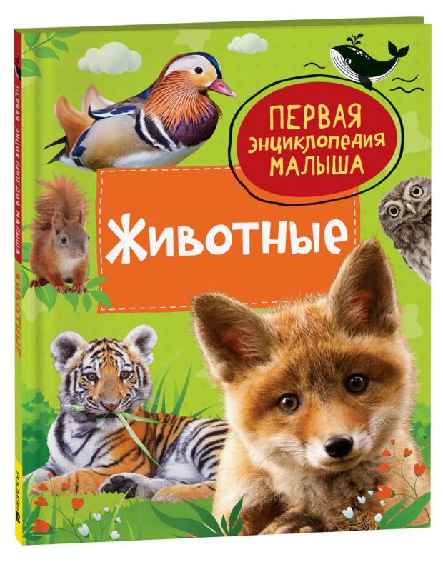 

Первая энциклопедия малыша