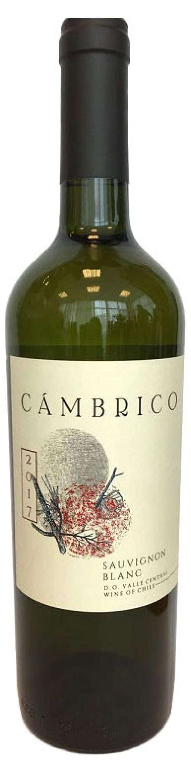 Вино Cambrico Sauvignon Blan белое сухое Чили, 0,75л
