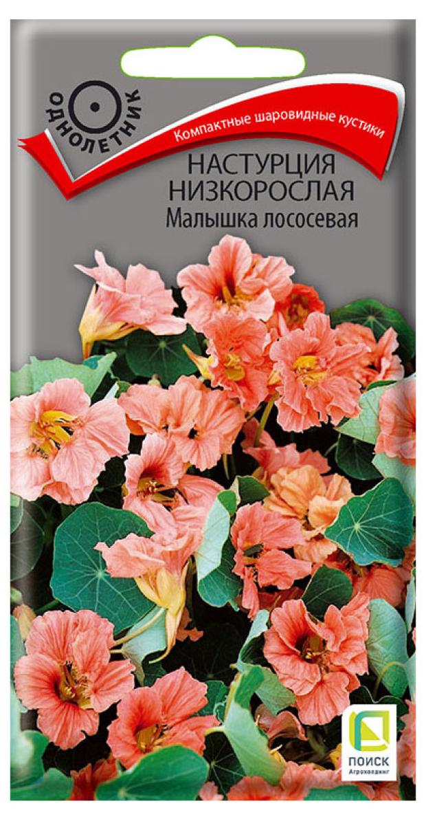 

Семена Поиск Настурция низкорослая Малышка лососевая, 1 г